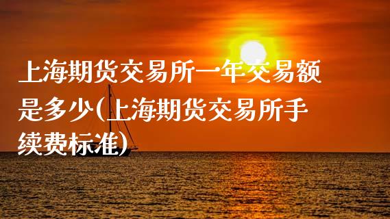 上海期货交易所一年交易额是多少(上海期货交易所手续费标准)_https://www.xmqjcw.com_期货百科_第1张