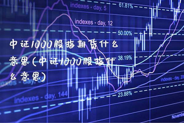 中证1000股指期货什么意思(中证1000股指什么意思)_https://www.xmqjcw.com_期货百科_第1张
