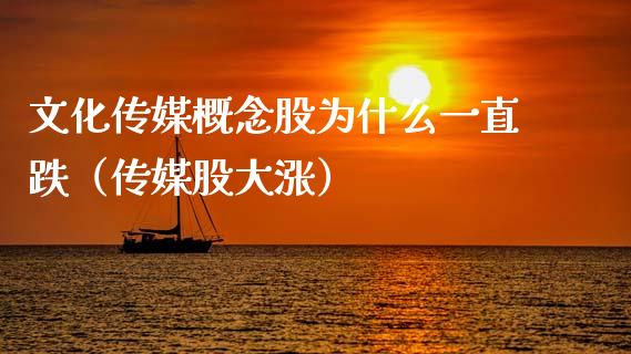 文化传媒概念股为什么一直跌（传媒股大涨）_https://www.xmqjcw.com_股票投资_第1张