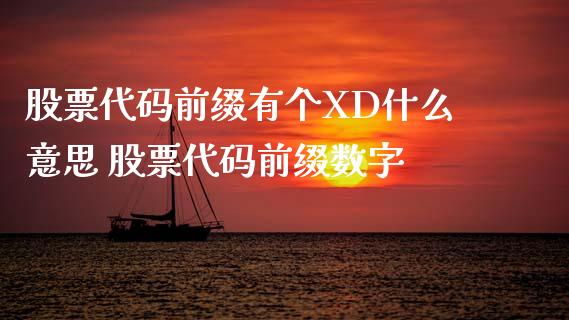 股票代码前缀有个XD什么意思 股票代码前缀数字_https://www.xmqjcw.com_股票投资_第1张