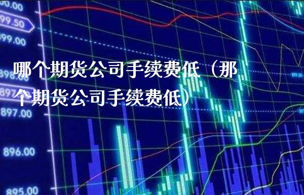 哪个期货公司手续费低（那个期货公司手续费低）_https://www.xmqjcw.com_期货行情_第1张