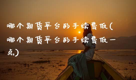 哪个期货平台的手续费低(哪个期货平台的手续费低一点)_https://www.xmqjcw.com_期货开户_第1张