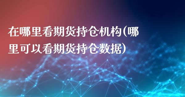 在哪里看期货持仓机构(哪里可以看期货持仓数据)_https://www.xmqjcw.com_期货百科_第1张