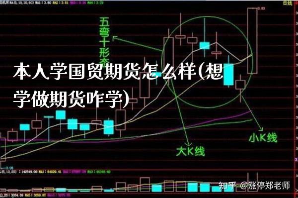 本人学国贸期货怎么样(想学做期货咋学)_https://www.xmqjcw.com_期货直播室_第1张