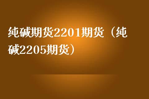 纯碱期货2201期货（纯碱2205期货）_https://www.xmqjcw.com_期货投资_第1张