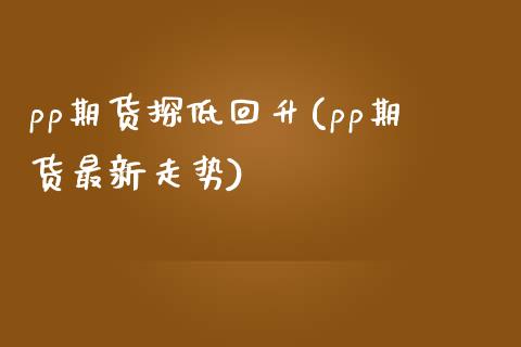 pp期货探低回升(pp期货最新走势)_https://www.xmqjcw.com_期货百科_第1张