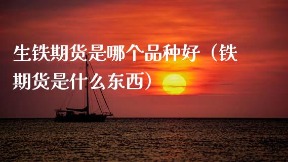 生铁期货是哪个品种好（铁期货是什么东西）_https://www.xmqjcw.com_期货直播室_第1张