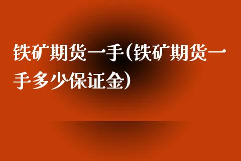 铁矿期货一手(铁矿期货一手多少保证金)_https://www.xmqjcw.com_期货投资_第1张