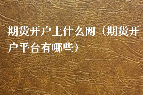 期货开户上什么网（期货开户平台有哪些）_https://www.xmqjcw.com_期货直播室_第1张