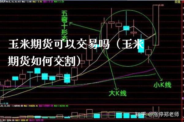 玉米期货可以交易吗（玉米期货如何交割）_https://www.xmqjcw.com_期货投资_第1张