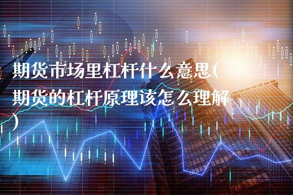 期货市场里杠杆什么意思(期货的杠杆原理该怎么理解)_https://www.xmqjcw.com_期货百科_第1张