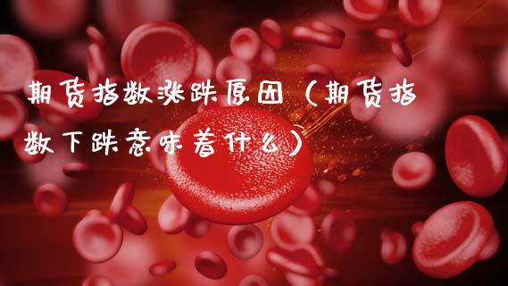 期货指数涨跌原因（期货指数下跌意味着什么）_https://www.xmqjcw.com_期货投资_第1张
