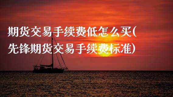 期货交易手续费低怎么买(先锋期货交易手续费标准)_https://www.xmqjcw.com_期货百科_第1张