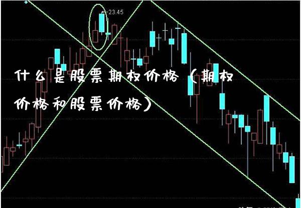 什么是股票期权价格（期权价格和股票价格）_https://www.xmqjcw.com_期货投资_第1张