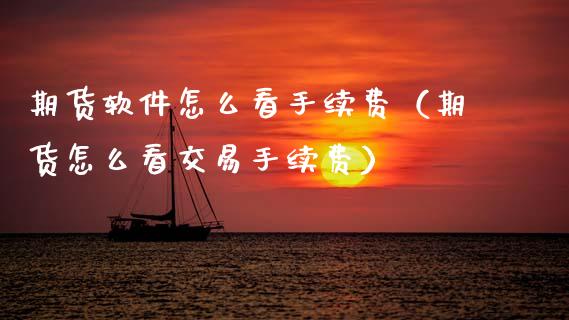 期货软件怎么看手续费（期货怎么看交易手续费）_https://www.xmqjcw.com_期货直播室_第1张