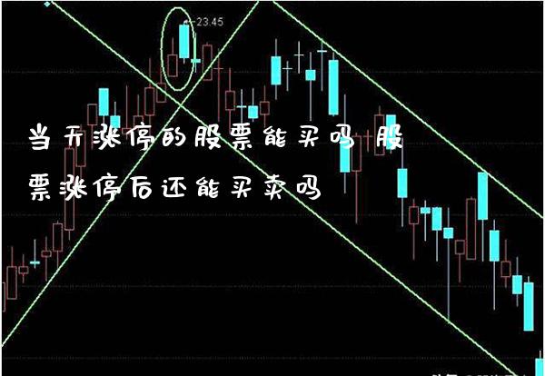 当天涨停的股票能买吗 股票涨停后还能买卖吗_https://www.xmqjcw.com_股票投资_第1张