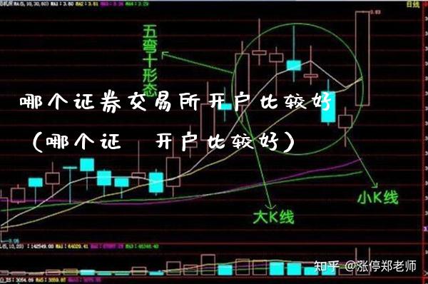 哪个证券交易所开户比较好（哪个证劵开户比较好）_https://www.xmqjcw.com_期货直播室_第1张