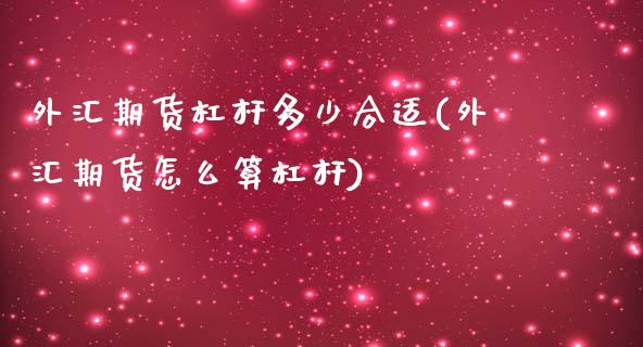 外汇期货杠杆多少合适(外汇期货怎么算杠杆)_https://www.xmqjcw.com_期货百科_第1张