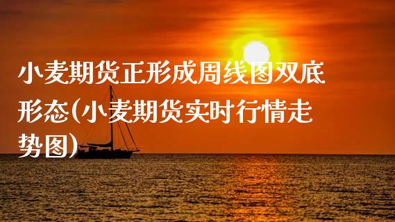 小麦期货正形成周线图双底形态(小麦期货实时行情走势图)_https://www.xmqjcw.com_基金理财_第1张