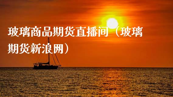 玻璃商品期货直播间（玻璃期货新浪网）_https://www.xmqjcw.com_期货开户_第1张
