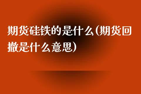 期货硅铁的是什么(期货回撤是什么意思)_https://www.xmqjcw.com_期货投资_第1张