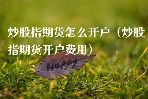 炒股指期货怎么开户（炒股指期货开户费用）_https://www.xmqjcw.com_期货投资_第1张
