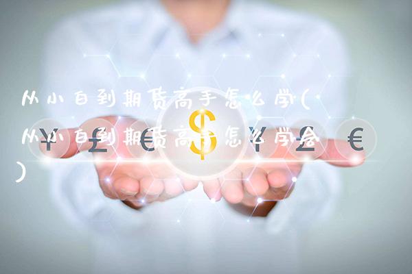 从小白到期货高手怎么学(从小白到期货高手怎么学会)_https://www.xmqjcw.com_期货直播室_第1张