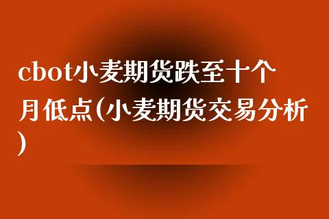 cbot小麦期货跌至十个月低点(小麦期货交易分析)_https://www.xmqjcw.com_期货行情_第1张