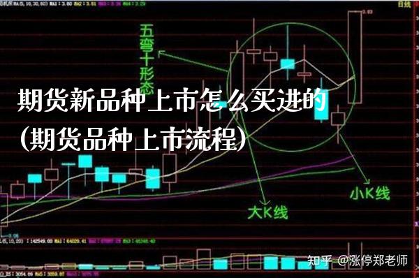 期货新品种上市怎么买进的(期货品种上市流程)_https://www.xmqjcw.com_期货百科_第1张