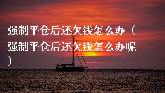 强制平仓后还欠钱怎么办（强制平仓后还欠钱怎么办呢）_https://www.xmqjcw.com_期货行情_第1张