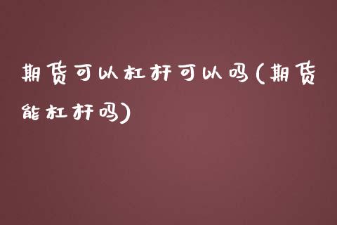 期货可以杠杆可以吗(期货能杠杆吗)_https://www.xmqjcw.com_期货直播室_第1张