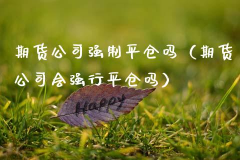 期货公司强制平仓吗（期货公司会强行平仓吗）_https://www.xmqjcw.com_期货投资_第1张