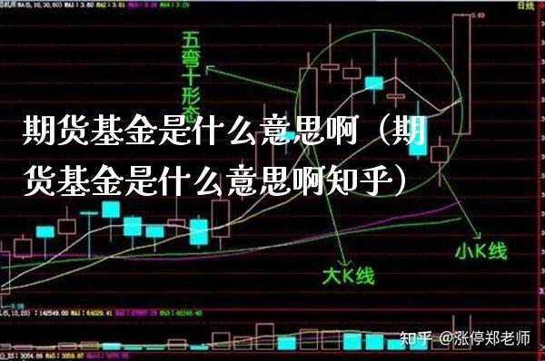 期货基金是什么意思啊（期货基金是什么意思啊知乎）_https://www.xmqjcw.com_期货行情_第1张