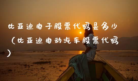 比亚迪电子股票代码是多少（比亚迪电动汽车股票代码）_https://www.xmqjcw.com_股票投资_第1张