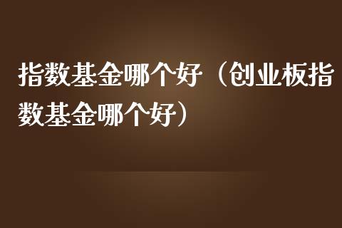 指数基金哪个好（创业板指数基金哪个好）_https://www.xmqjcw.com_期货开户_第1张