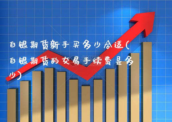 白银期货新手买多少合适(白银期货的交易手续费是多少)_https://www.xmqjcw.com_期货百科_第1张