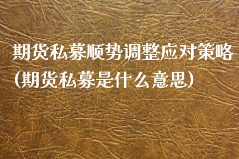 期货私募顺势调整应对策略(期货私募是什么意思)_https://www.xmqjcw.com_期货百科_第1张