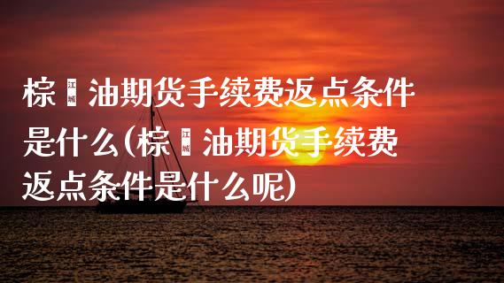 棕榈油期货手续费返点条件是什么(棕榈油期货手续费返点条件是什么呢)_https://www.xmqjcw.com_期货投资_第1张
