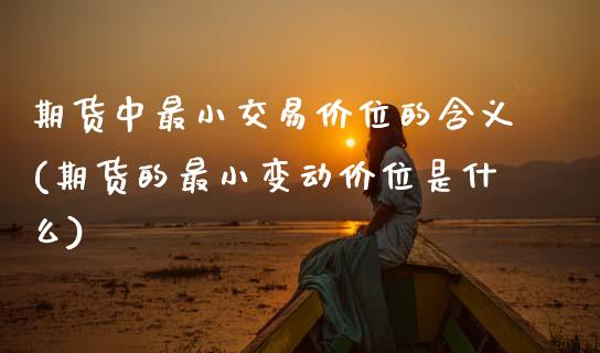 期货中最小交易价位的含义(期货的最小变动价位是什么)_https://www.xmqjcw.com_基金理财_第1张