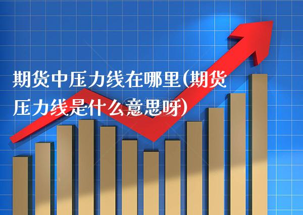 期货中压力线在哪里(期货压力线是什么意思呀)_https://www.xmqjcw.com_期货行情_第1张