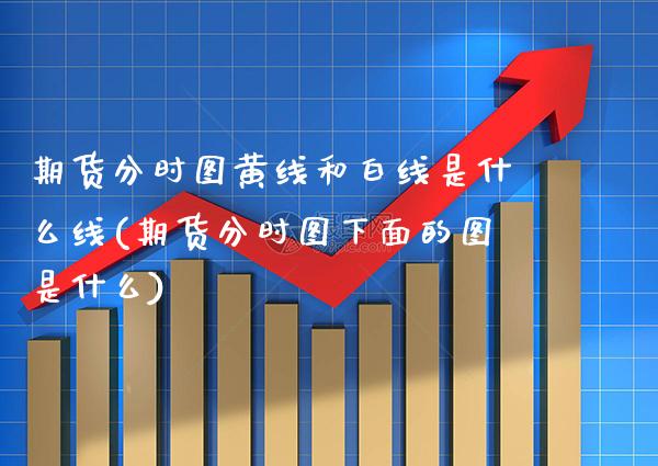 期货分时图黄线和白线是什么线(期货分时图下面的图是什么)_https://www.xmqjcw.com_期货直播室_第1张