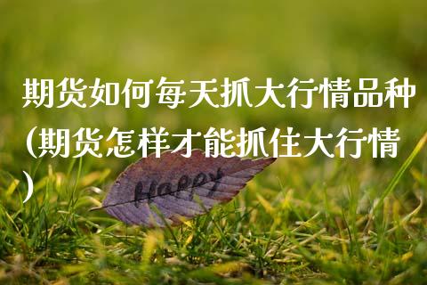 期货如何每天抓大行情品种(期货怎样才能抓住大行情)_https://www.xmqjcw.com_期货开户_第1张