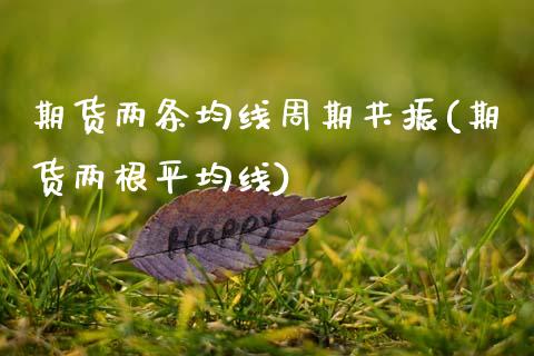 期货两条均线周期共振(期货两根平均线)_https://www.xmqjcw.com_期货百科_第1张