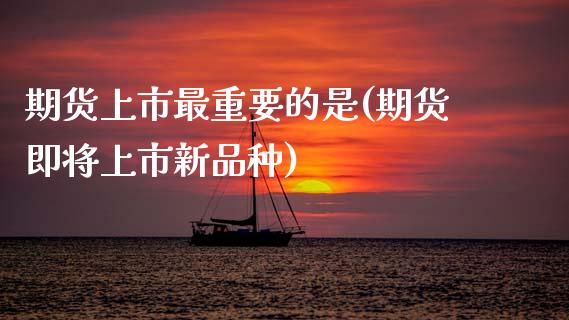 期货上市最重要的是(期货即将上市新品种)_https://www.xmqjcw.com_期货百科_第1张