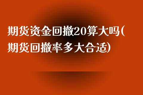 期货资金回撤20算大吗(期货回撤率多大合适)_https://www.xmqjcw.com_期货百科_第1张