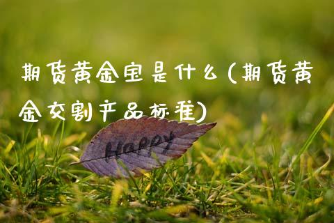 期货黄金宝是什么(期货黄金交割产品标准)_期货百科_第1张_秦聚理财 期货黄金宝是什么(期货黄金交割产品标准)_https://www.xmqjcw.com_期货百科_第1张