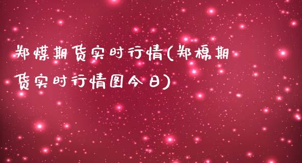 郑煤期货实时行情(郑棉期货实时行情图今日)_https://www.xmqjcw.com_期货行情_第1张