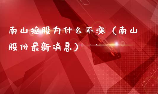 南山控股为什么不涨（南山股份最新消息）_https://www.xmqjcw.com_期货投资_第1张
