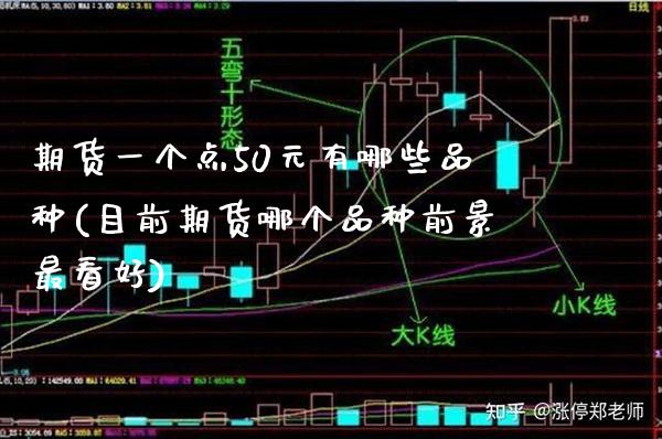 期货一个点50元有哪些品种(目前期货哪个品种前景最看好)_https://www.xmqjcw.com_期货开户_第1张