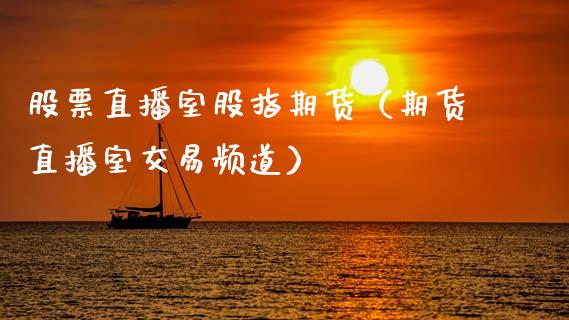 股票直播室股指期货（期货直播室交易频道）_https://www.xmqjcw.com_期货投资_第1张